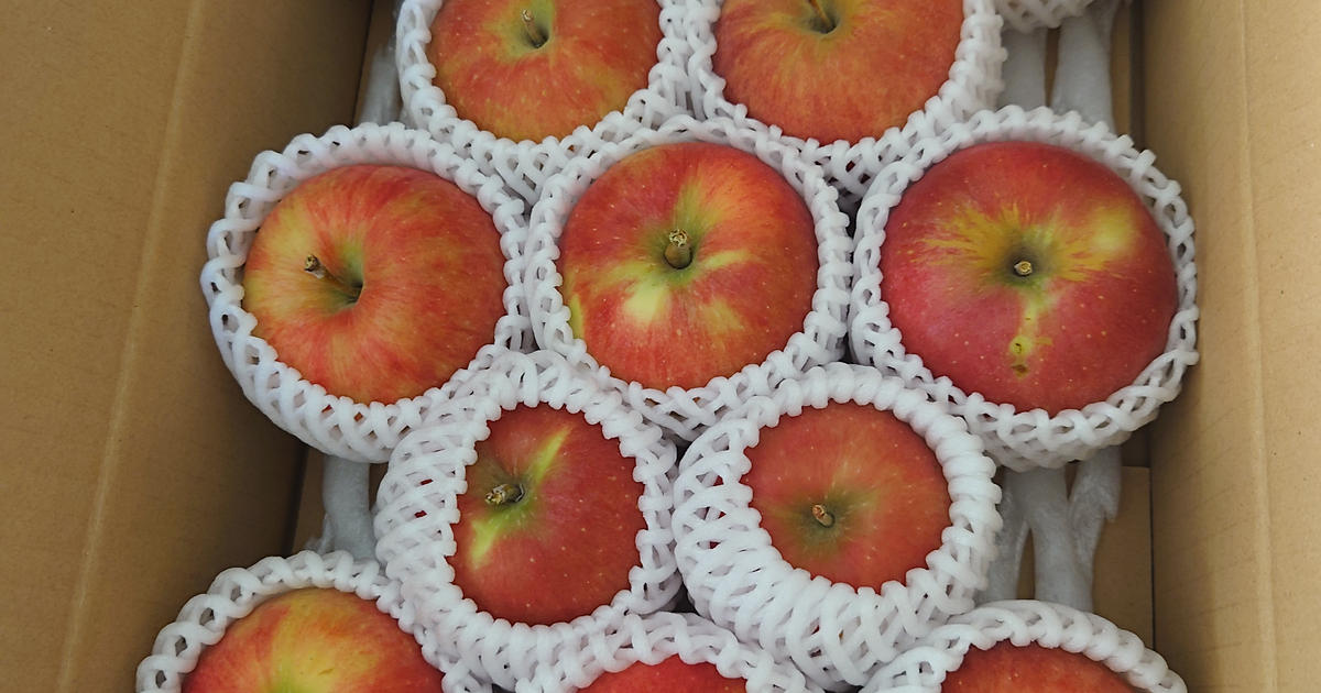 るーさんが 信州のど真ん中、梶原農園 の 【夏あかり3kg】甘くて硬い