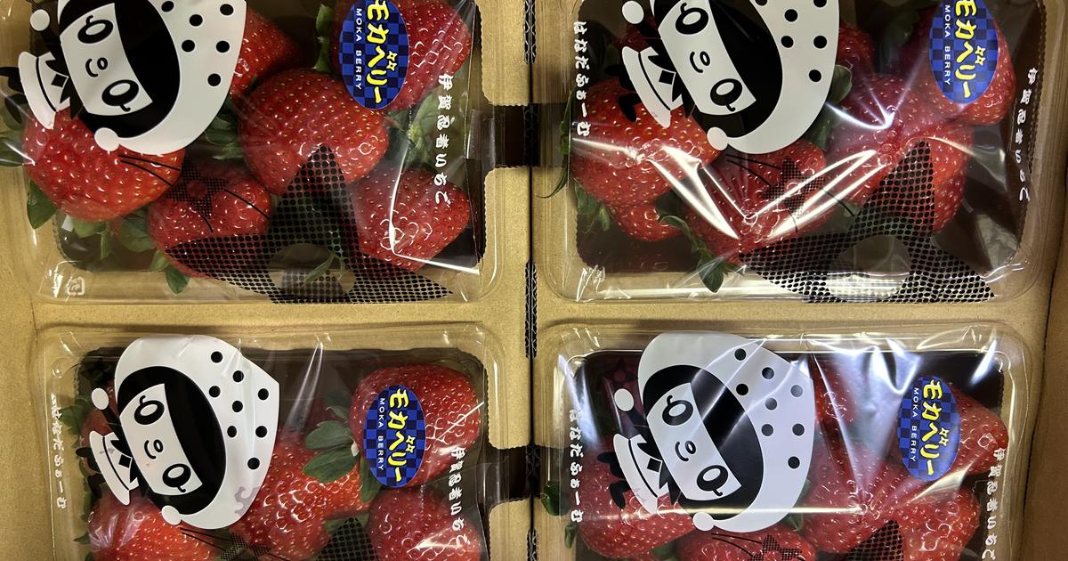 その他いちご（三重県・はなだふぁーむ）の口コミ・レビュー ｜ 産直アウル