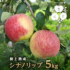 桃 スイートリッチ（プレミアムワッサー） 3kg ｜ 果物/もも 産直