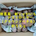 無農薬 新じゃがいも タワラマゼラン 約5kg ｜ 野菜/じゃがいも