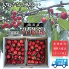 食品 BIWA様 専用 さくらんぼ 佐藤錦 Lサイズ 2kg