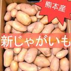 無農薬】新じゃがいも メークイン 4.5kg ｜ 野菜/じゃがいも 産直