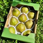 洋なし専業農家が贈る🍐】ラ・フランス 3L 約2kg 特秀 6玉入り