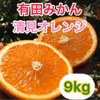 売り尽くしセール！ 果汁たっぷり 清見オレンジ 和歌山県有田産 4.5kg