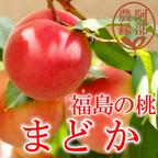 桃の予約】福島の完熟もも 奥あかつき2玉化粧箱入り ギフト・贈答用に