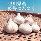 噂の香川県産✨乾燥にんにく✨箱込1kg ｜ 野菜/にんにく 産直アウル