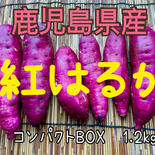 南光農園のさつまいも　紅はるか 1.2kg 果物や野菜などのお取り寄せ宅配食材通販産地直送アウル