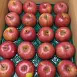 りんご20玉クリスマス家庭用 5.5kg 果物や野菜などのお取り寄せ宅配食材通販産地直送アウル