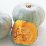【おすすめ商品】雪化粧南瓜　栽培期間中農薬不使用 2玉　約重量2.5~3.0kg 果物や野菜などのお取り寄せ宅配食材通販産地直送アウル