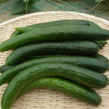 【茨城県産】お試しきゅうり約1.3kg 約1.3 果物や野菜などのお取り寄せ宅配食材通販産地直送アウル