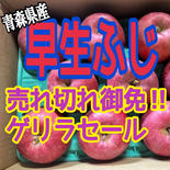 「送料無料」48時間限定‼️売れ切れ御免‼️ゲリラセール　早生ふじ約3キロ8〜10玉 約3kg 8〜10玉 果物や野菜などのお取り寄せ宅配食材通販産地直送アウル