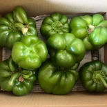 肉厚ジューシー♪ 訳ありパプリカ1kg 1kg 果物や野菜などのお取り寄せ宅配食材通販産地直送アウル