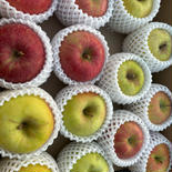 4種MIX青森県産りんご🍏🍎サンフジ・ぐんま名月・王林・シナノスイート 1箱12~15個 果物や野菜などのお取り寄せ宅配食材通販産地直送アウル
