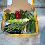 お一人暮らし用　好き清友農園　無農薬野菜詰め合わせ 0.8kg 果物や野菜などのお取り寄せ宅配食材通販産地直送アウル