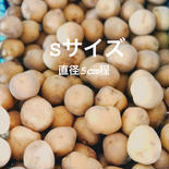富井様専用ページじゃがいも(きたあかり)Sサイズ18kg 18kg 果物や野菜などのお取り寄せ宅配食材通販産地直送アウル
