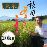 ひの米　あきたこまち【玄米】20kg(10kg×2) 20kg 果物や野菜などのお取り寄せ宅配食材通販産地直送アウル