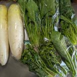 ダイコン、ホウレンソウ、茎立ち、アスパラ菜 約4.1kg 果物や野菜などのお取り寄せ宅配食材通販産地直送アウル