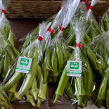 白オクラ　楊貴妃 800g 果物や野菜などのお取り寄せ宅配食材通販産地直送アウル