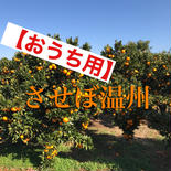 【おうち用】させぼ温州みかん箱込み5kg 箱込み5kg 果物や野菜などのお取り寄せ宅配食材通販産地直送アウル