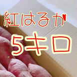 さつまいも 紅はるか 5kg 4.5kg 果物や野菜などのお取り寄せ宅配食材通販産地直送アウル