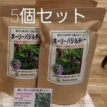 お得な送料サービス　ホーリーバジルティー　1.8g×30袋入5セット 1.8g×30袋入　5セット 果物や野菜などのお取り寄せ宅配食材通販産地直送アウル