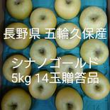 長野県 五輪久保産 シナノゴールド 5kg14玉贈答品 5kg 果物や野菜などのお取り寄せ宅配食材通販産地直送アウル