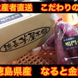 鳴門金時20kg Mサイズ 鳴門金時20kg 果物や野菜などのお取り寄せ宅配食材通販産地直送アウル