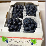 【濃くて甘い】【朝採り糖度16〜18】クイーンベリーA2k 2.0kg 果物や野菜などのお取り寄せ宅配食材通販産地直送アウル