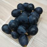 ナガノパープル　粒パック1kg　送料込（ヤマト運輸の区分での着地が南東北、関東、信越、北陸、中部の方限定の商品です→下記の商品説明をご参照下さい） 1kg以上（資材等を含まないぶどうの重量） 果物や野菜などのお取り寄せ宅配食材通販産地直送アウル