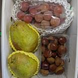 クリ、ブドウ、洋ナシ 約2.3kg 果物や野菜などのお取り寄せ宅配食材通販産地直送アウル