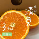 一政園　【清見】3キロ家庭用 3キロ家庭用 果物や野菜などのお取り寄せ宅配食材通販産地直送アウル