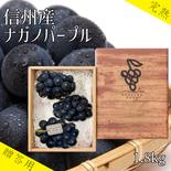 【厳選贈答用】　厳選大玉ナガノパープル３〜４房（約１８００g） 約1.8kg 果物や野菜などのお取り寄せ宅配食材通販産地直送アウル