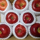紅玉8玉 2kg 果物や野菜などのお取り寄せ宅配食材通販産地直送アウル
