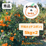 【愛媛県産】e~デコポン 不知火@贈答用 5kg箱×2 果物や野菜などのお取り寄せ宅配食材通販産地直送アウル