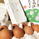 【中村様用：平飼い60個】酵母・平飼いたまご30個×2箱 果物や野菜などのお取り寄せ宅配食材通販産地直送アウル