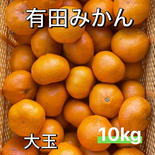 大玉みかん　こんなに甘くて美味しい秀品10kg 10 果物や野菜などのお取り寄せ宅配食材通販産地直送アウル