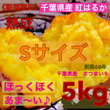 熟成 さつまいも  5kg  Sサイズ　千葉県産 紅はるか　土つき 5kg 果物や野菜などのお取り寄せ宅配食材通販産地直送アウル