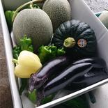 メロン２個と野菜おまかせセット 8kg以下 果物や野菜などのお取り寄せ宅配食材通販産地直送アウル