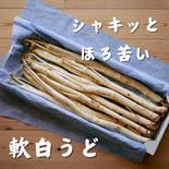 軟白ウド【極】 2Lサイズ（8本〜10本入り） 果物や野菜などのお取り寄せ宅配食材通販産地直送アウル
