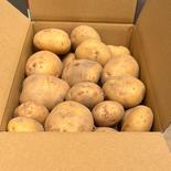 キタアカリ 大小25～30個入り 果物や野菜などのお取り寄せ宅配食材通販産地直送アウル