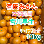 旨得！山富農園の宮川早生　ご家庭用　10kg 箱込み10kg   果物や野菜などのお取り寄せ宅配食材通販産地直送アウル