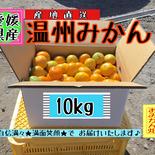 【四国 九州 本州のお客様用】〖訳アリ〗フルーツ果物くだもの果実みかん柑橘《温州みかん／えひめ産》 10kg(段ボール含め) 果物や野菜などのお取り寄せ宅配食材通販産地直送アウル