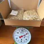 金の大麦　殻つき　1.8kg 麦茶用 1.8kg 果物や野菜などのお取り寄せ宅配食材通販産地直送アウル