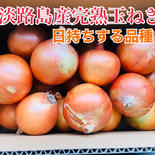 「訳あり」あま〜くて美味しい淡路島産完熟玉ねぎ 5kg 果物や野菜などのお取り寄せ宅配食材通販産地直送アウル