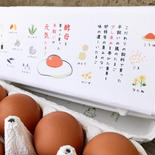 【酵母・平飼いたまご30個×2箱】 酵母・平飼いたまご30個×2箱 果物や野菜などのお取り寄せ宅配食材通販産地直送アウル