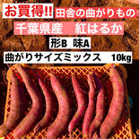 【数量限定‼︎】さつまいも (紅はるか) 千葉県産　10kg   曲がりサイズミックス［送料込み］ 10kg(土つき) 果物や野菜などのお取り寄せ宅配食材通販産地直送アウル