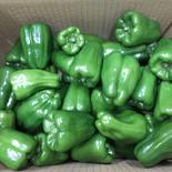 大家族、辛漬けにS〜2L 2Kg 2Kg 果物や野菜などのお取り寄せ宅配食材通販産地直送アウル