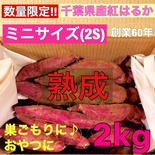 【熟成】さつまいも 紅はるか 千葉県産 2S 2kg 土付き （送料込み） 2kg(箱込み) 果物や野菜などのお取り寄せ宅配食材通販産地直送アウル