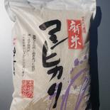 【新米7年産】5kg こしひかり精米後 こしひかり精白米5kg 果物や野菜などのお取り寄せ宅配食材通販産地直送アウル