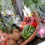 タナベfarm秋野菜セット 3キロ以内 果物や野菜などのお取り寄せ宅配食材通販産地直送アウル